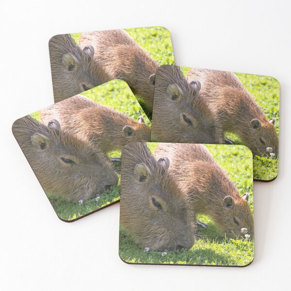 Item preview, Capybara designed and sold by KcsArt87.