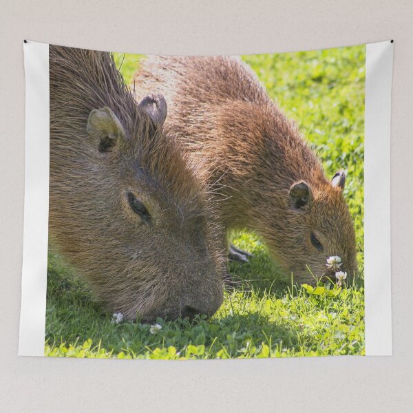 Item preview, Capybara designed and sold by KcsArt87.