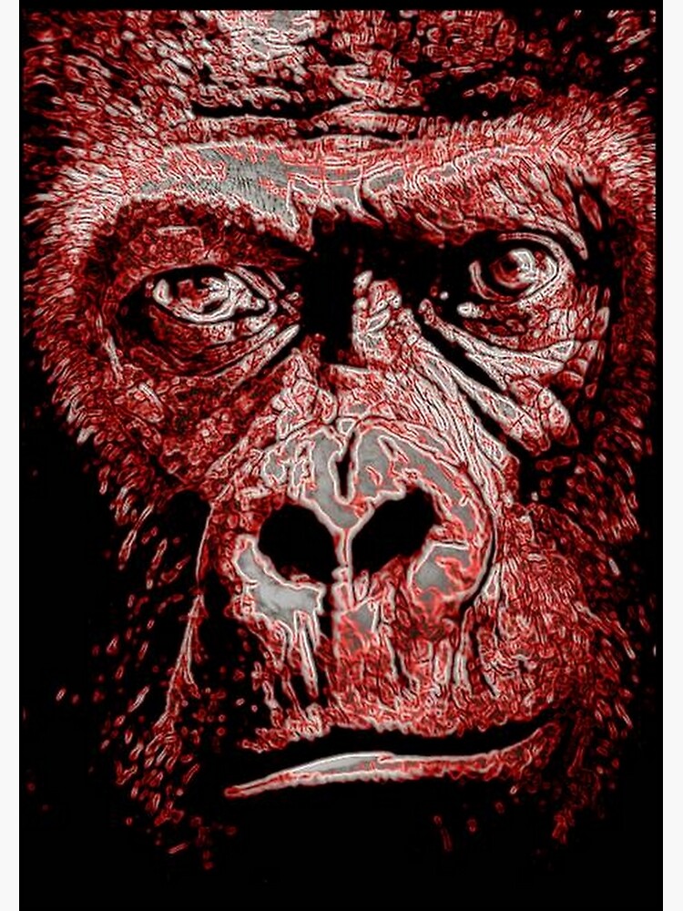 GORILLA by michaeltodd