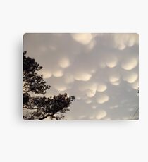 Dragon Eggs Canvas Print