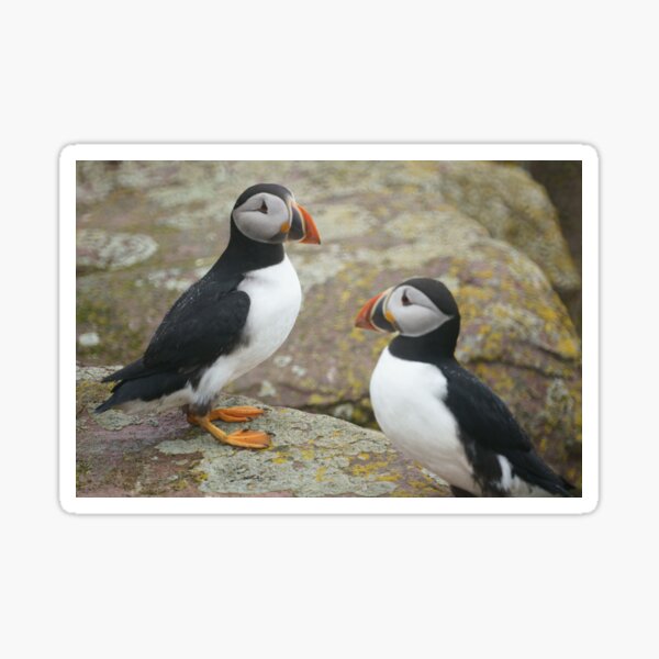 Conversation Sticker