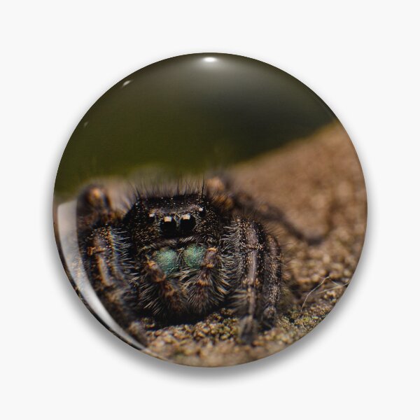 Item preview, Phidippus designed and sold by Tim Friesen.