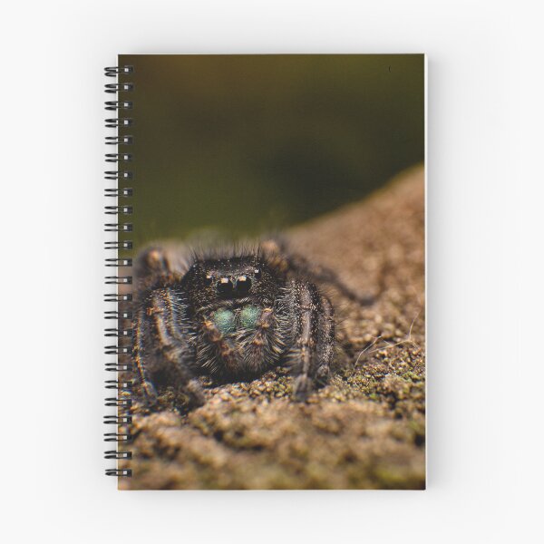 Item preview, Phidippus designed and sold by Tim Friesen.
