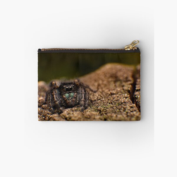 Item preview, Phidippus designed and sold by Tim Friesen.