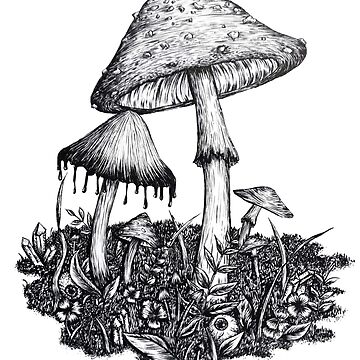 Artwork thumbnail, Mushroom Forest by lozzanova