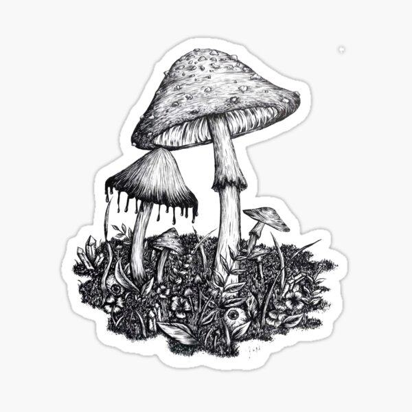 Mushroom Forest Sticker