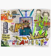 The Flaming Lips Poster Poster