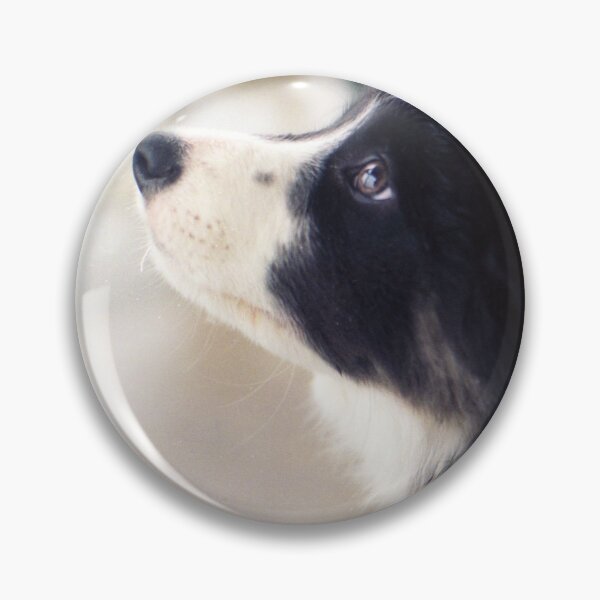 Item preview, Puppy Bob designed and sold by Michael Haslam.