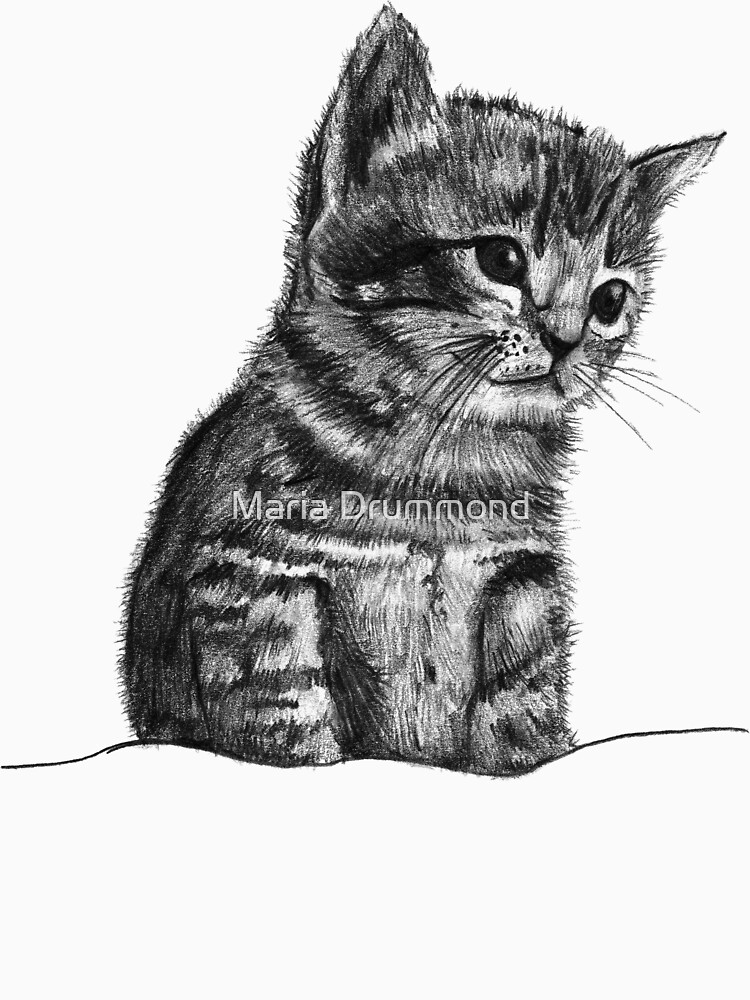 Wilbur The Kitten by MariaDrummond