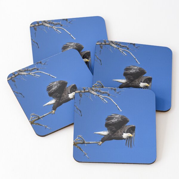 Item preview, Bald Eagle Take Off designed and sold by Dana Hardy.