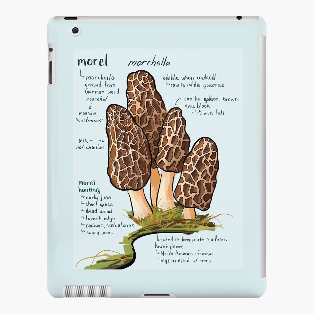 Three Wild Morel Mushrooms On A Plate Duvet Cover by Snap Decision 