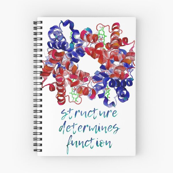 Item preview, Hemoglobin - structure determines function designed and sold by Hannah Hathaway.