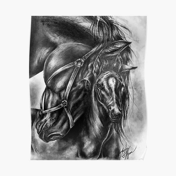 "Horse Art / Horse Drawing / Gifts for Horse Lovers / Horse Wall Art