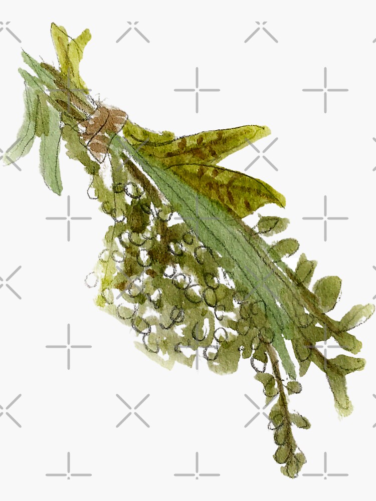 Hedge Witch Herb Bunch in Twine by WitchofWhimsy