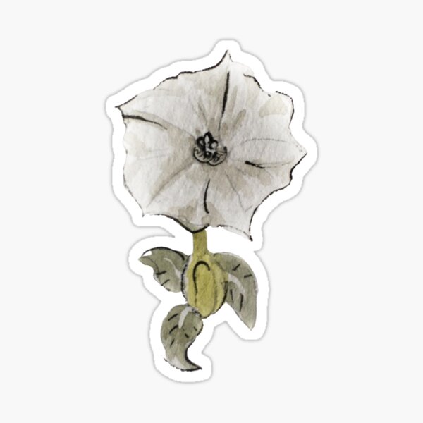 Datura Flower for Witchy Dreams in Watercolor Sticker