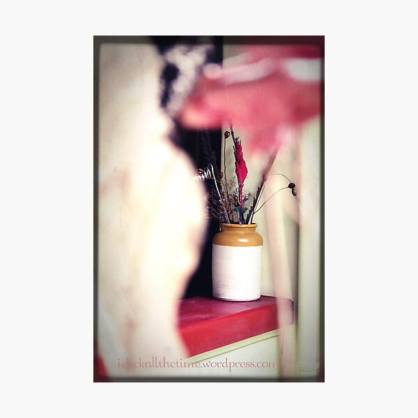 Clay Jar with dried flowers!  Photographic Print