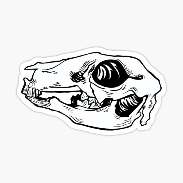 Osphranter rufus (Red Kangaroo) Sticker