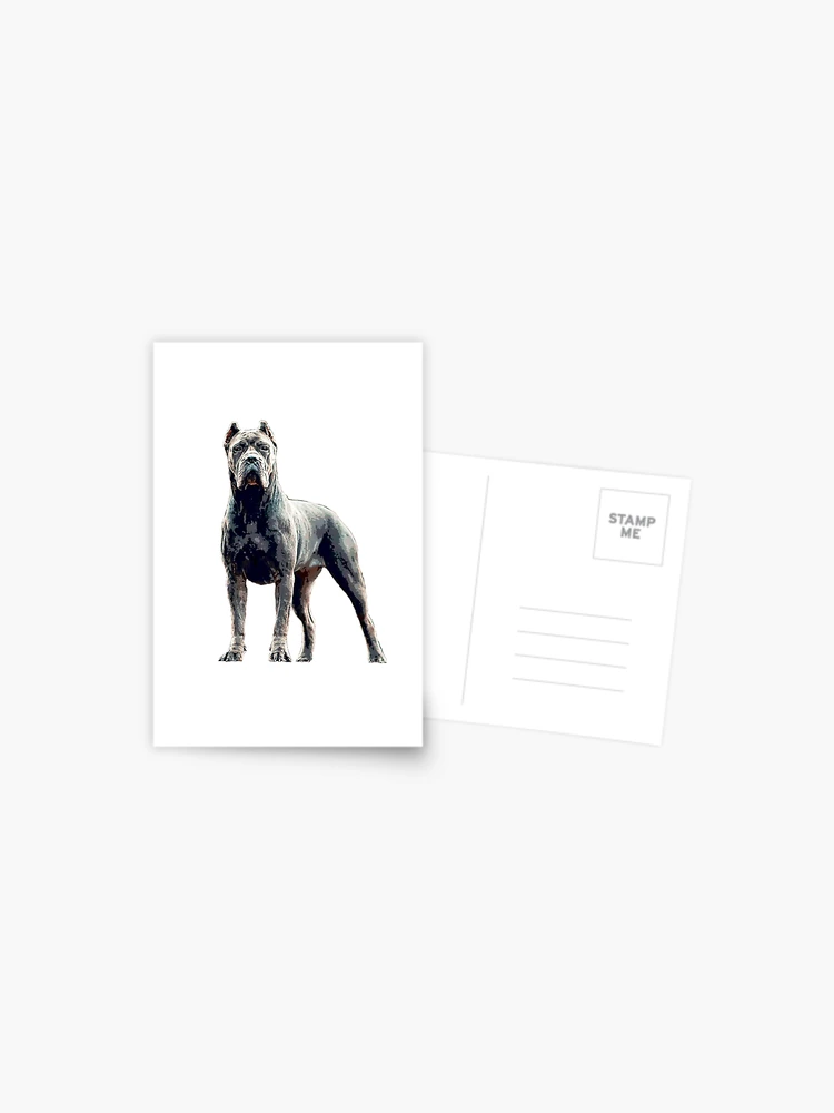 Cane Corso Dog Black  Postcard for Sale by ElegantCat