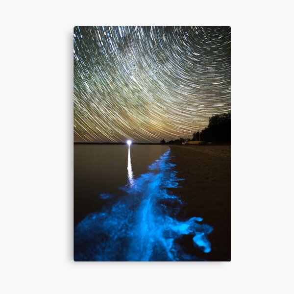 Bioluminescence in the Gippsland Lakes Canvas Print