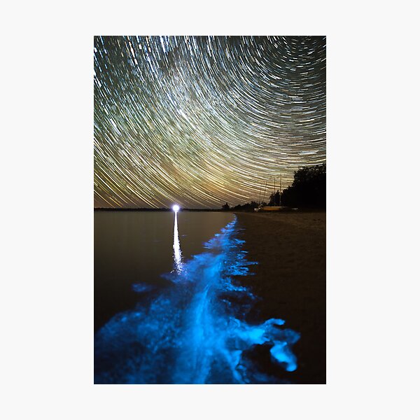 Bioluminescence in the Gippsland Lakes Photographic Print