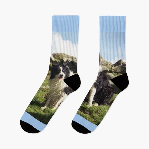 Item preview, Two Wet Collies designed and sold by Michael Haslam.