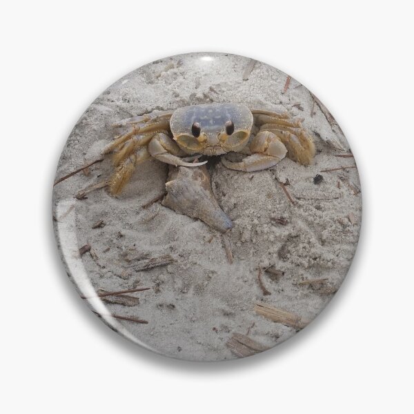 Item preview, That's My Shell designed and sold by Robin Kinnard.