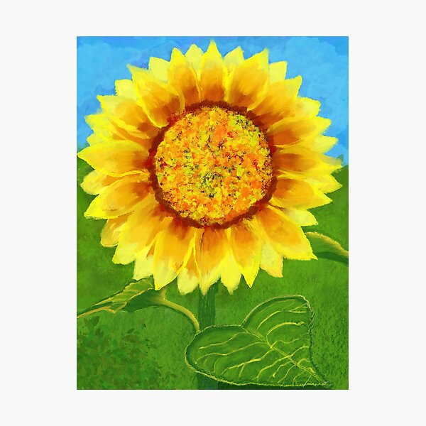 Sunflower Image Photographic Print