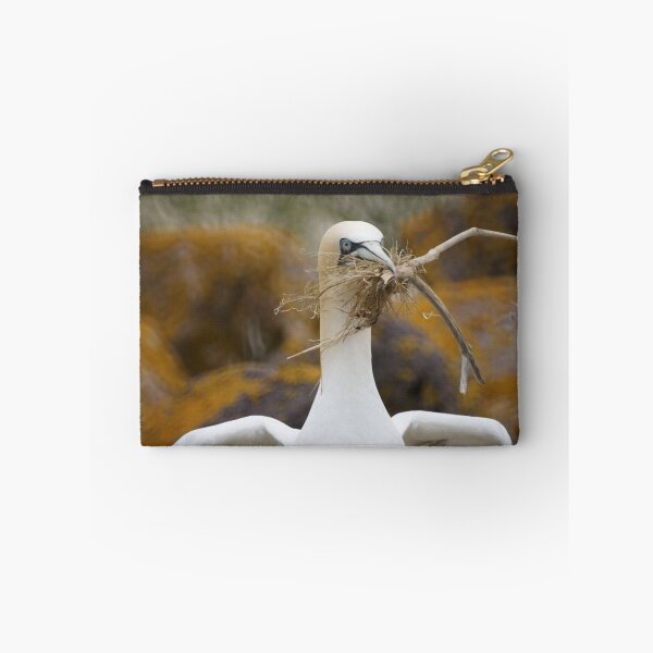 Item preview, Going courting designed and sold by Jean Knowles.
