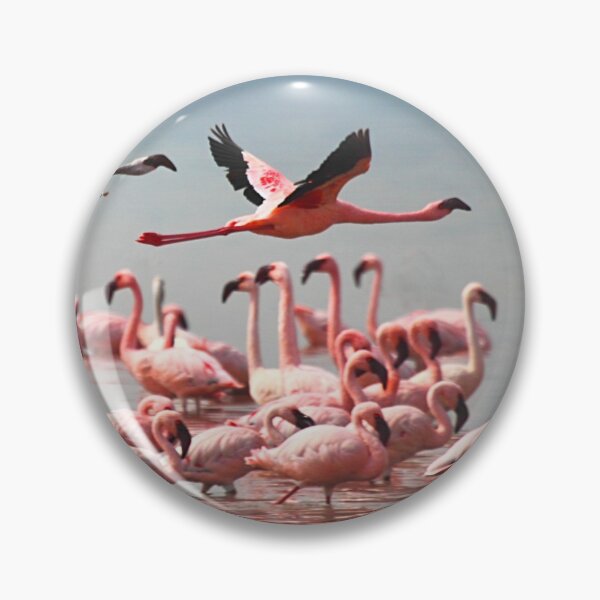 Item preview, Fly Past, Lesser Flamingos, Lake Nakuru, Kenya designed and sold by Carole-Anne.