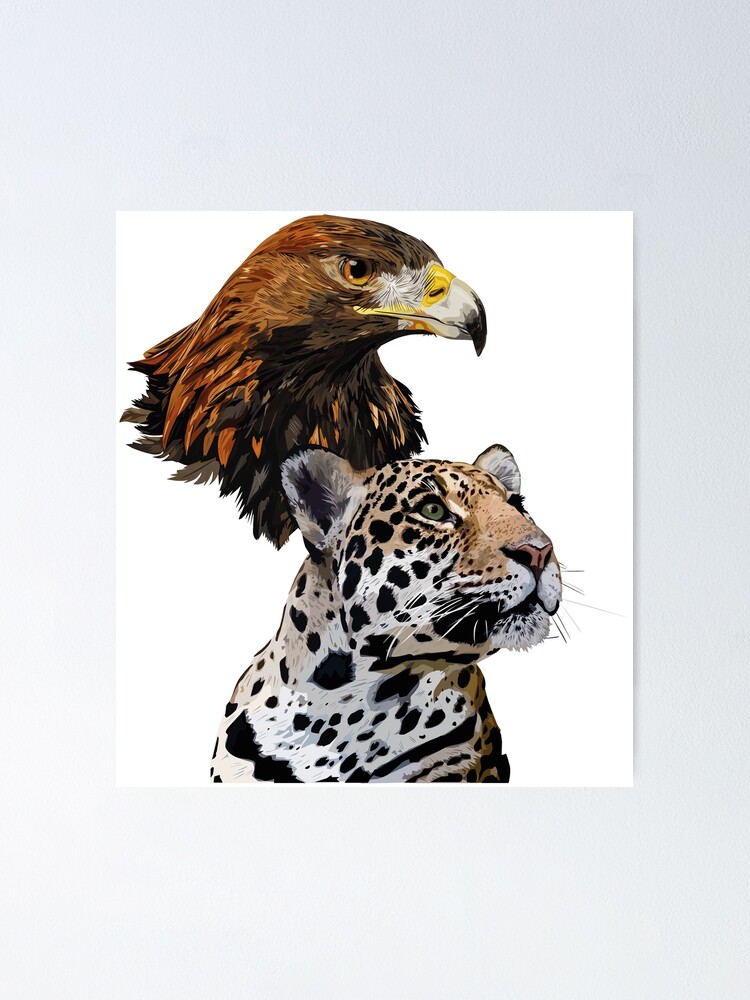 Póster «Águila Real y Jaguar» de obscurite | Redbubble