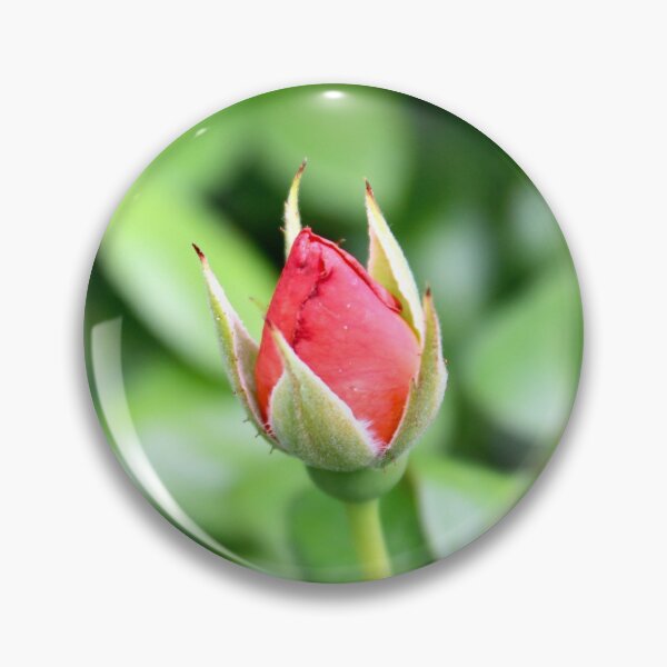 Item preview, Rose Bud  designed and sold by remiliskos.