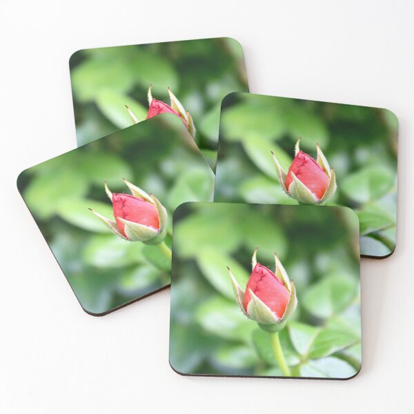 Item preview, Rose Bud  designed and sold by remiliskos.