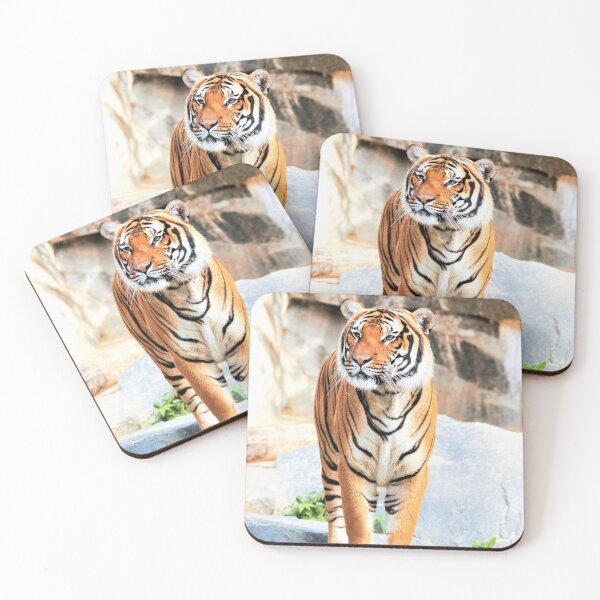 Item preview, Indochina Tiger designed and sold by cs-cookie.