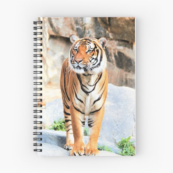 Item preview, Indochina Tiger designed and sold by cs-cookie.