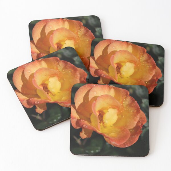 Item preview, Rose in Morning Dew designed and sold by remiliskos.