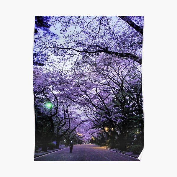 Sakura Walk Poster