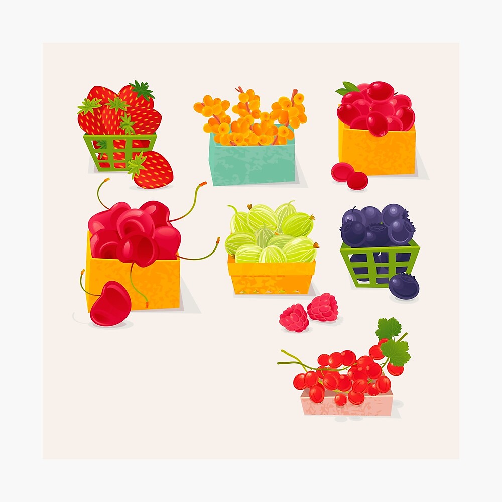 Sweet Berries Photographic Print