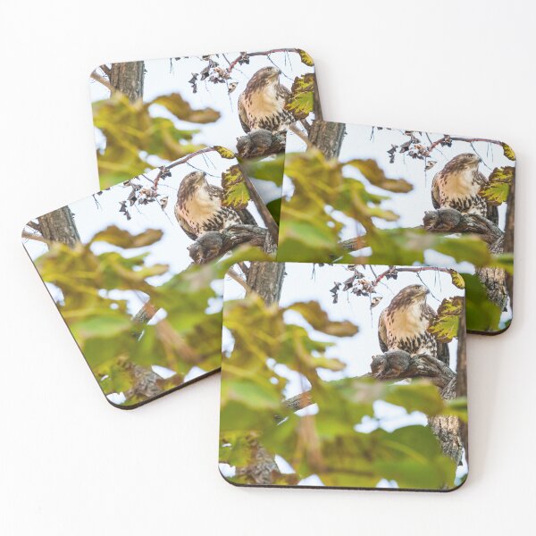 Item preview, Red Tailed Hawk with squirrel in tree ideal wildlife lovers designed and sold by Brian Scantlebury.