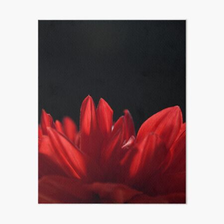 Deep Red Dahlia Art Board Print