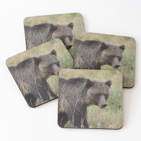Item preview, Grizzly designed and sold by ILove-Photos.