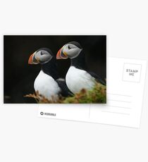 Companionship Postcards