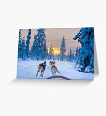 Husky Sledge, Lapland Greeting Card