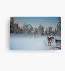 Husky Sledge, Lapland Canvas Print