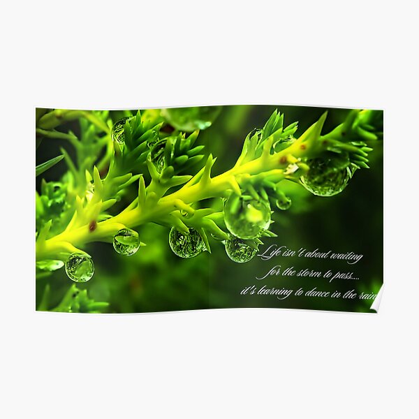 Dance in the rain Poster