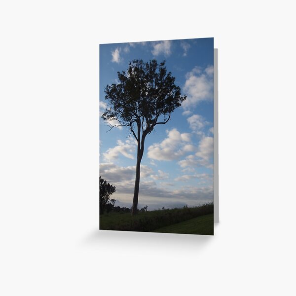 Item preview, Bega morning designed and sold by Tom McDonnell.