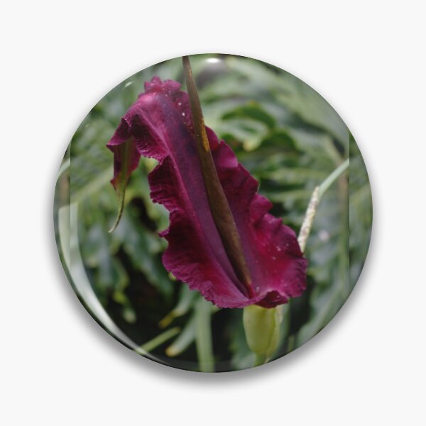 Artikelvorschau, Dragon Lily: View #2 entworfen und verkauft von Carole-Anne.