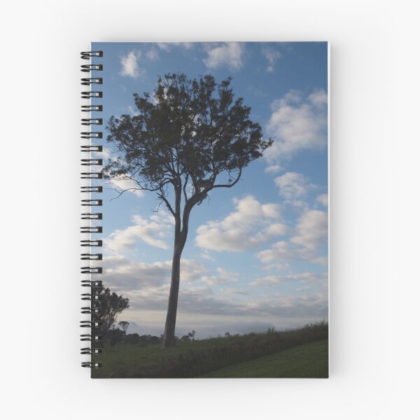 Item preview, Bega morning designed and sold by Tom McDonnell.