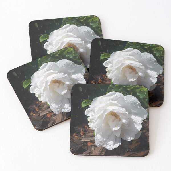 Item preview, White Rose With Water Droplets  designed and sold by LittleBjorn.