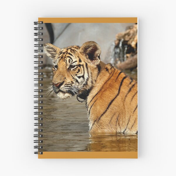 Item preview, 3 Month Old Bengal Tiger Cub designed and sold by Carole-Anne.