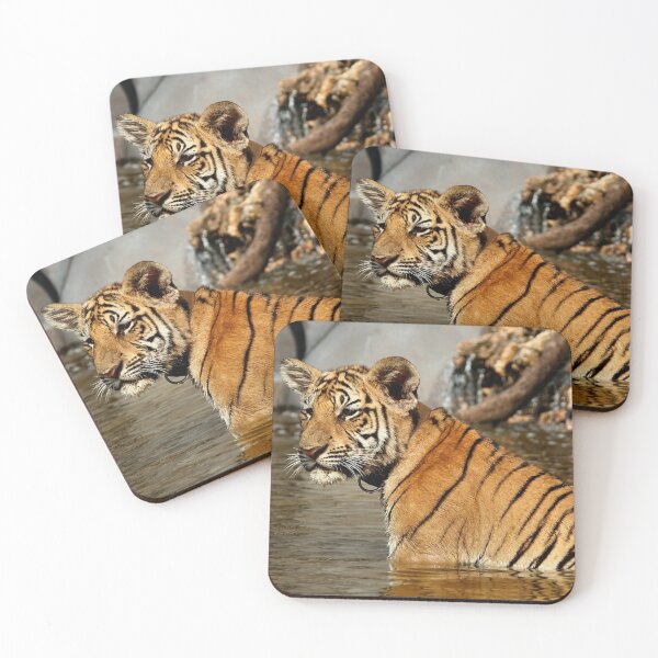 Item preview, 3 Month Old Bengal Tiger Cub designed and sold by Carole-Anne.